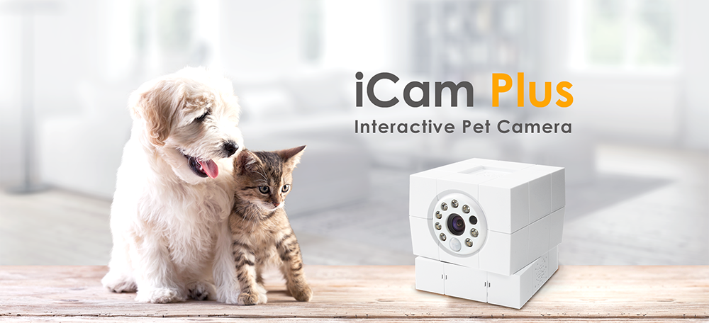 monitoramento de câmera IP residencial e animais