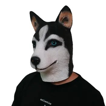 Cachorro Husky - Máscaras de carnaval enfrentam cabeça