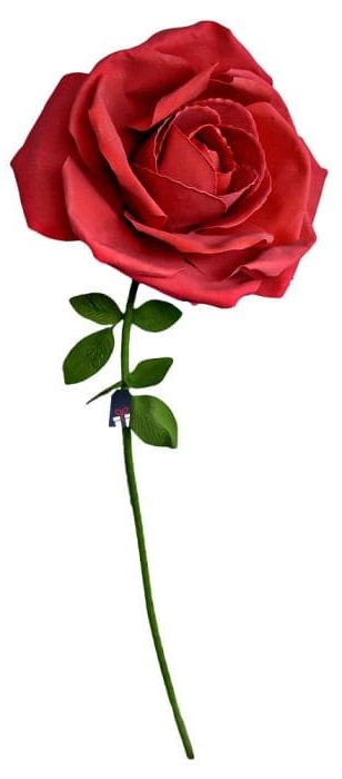 Rosa enorme XXL - Rosas de presente para uma mulher