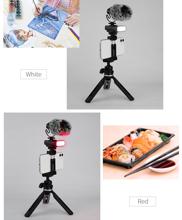 tripé para celular (suporte para selfie) + microfone e luz