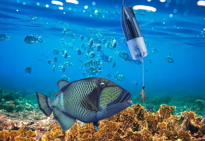 câmera subaquática de peixes