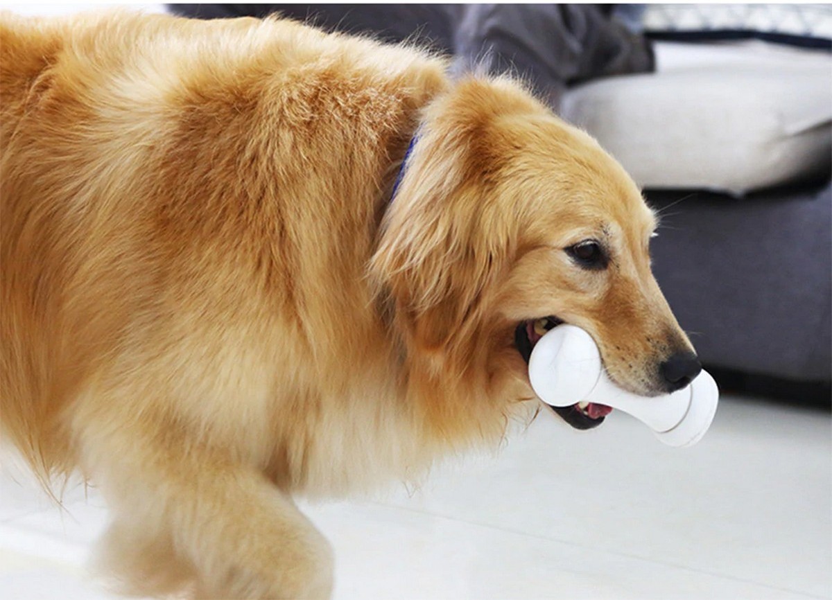 brinquedo osso inteligente para cães osso perverso