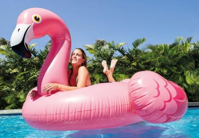 flamingo inflável